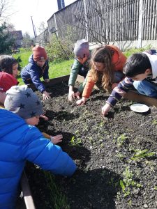 Hochbeet-Aussaat im Frühling – Unterstufe (3)