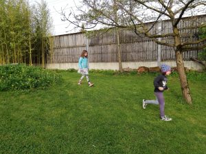 Ostereiersuche (1)