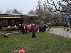 Martinsfest_2025 (2)